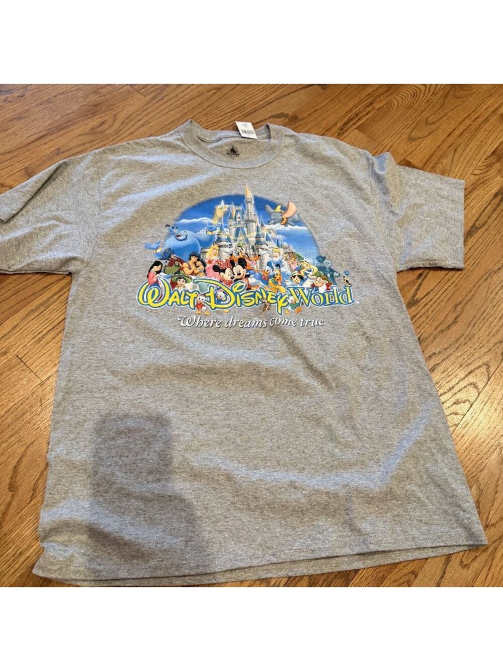 WALT DISNEY WORLD WOMENS LARGE GRAY T SHIRT NEW